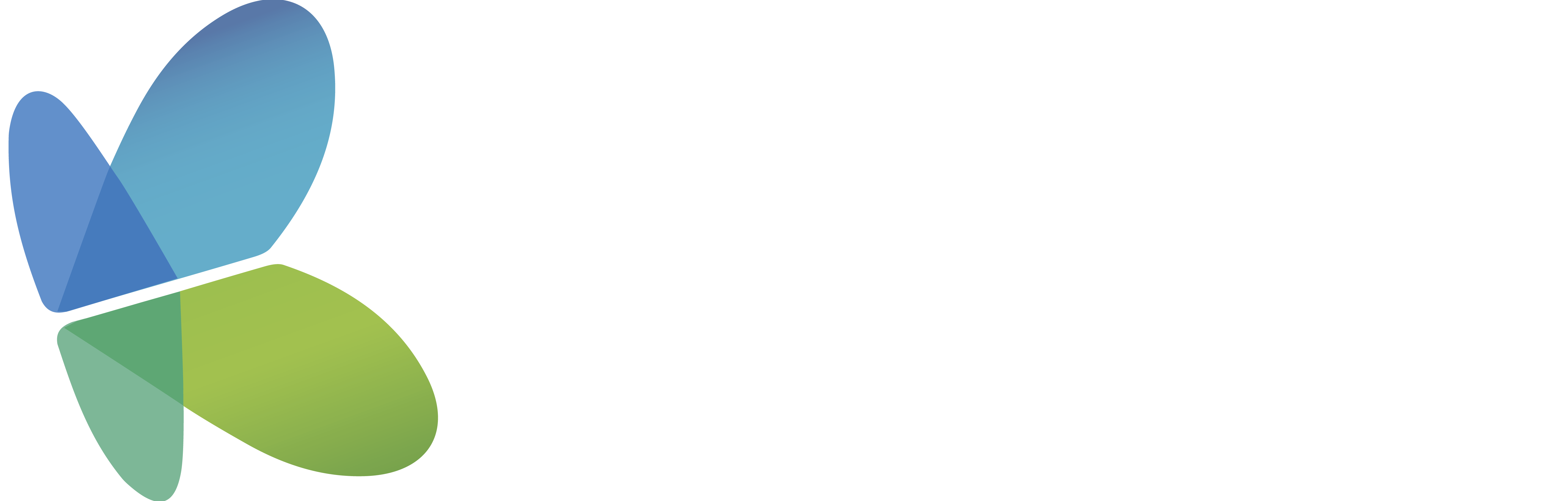 Sanitas Qhali Seguros